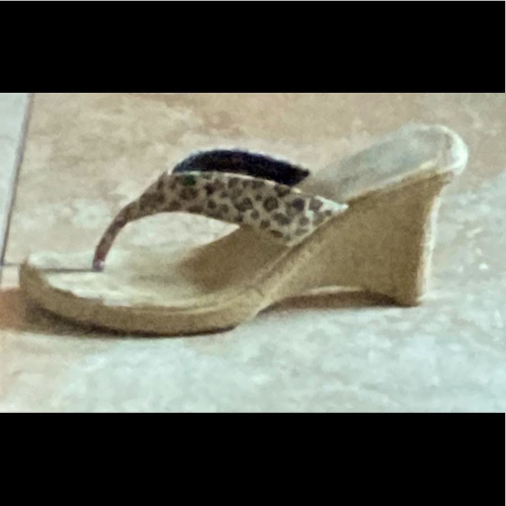 Cheetah Wedges